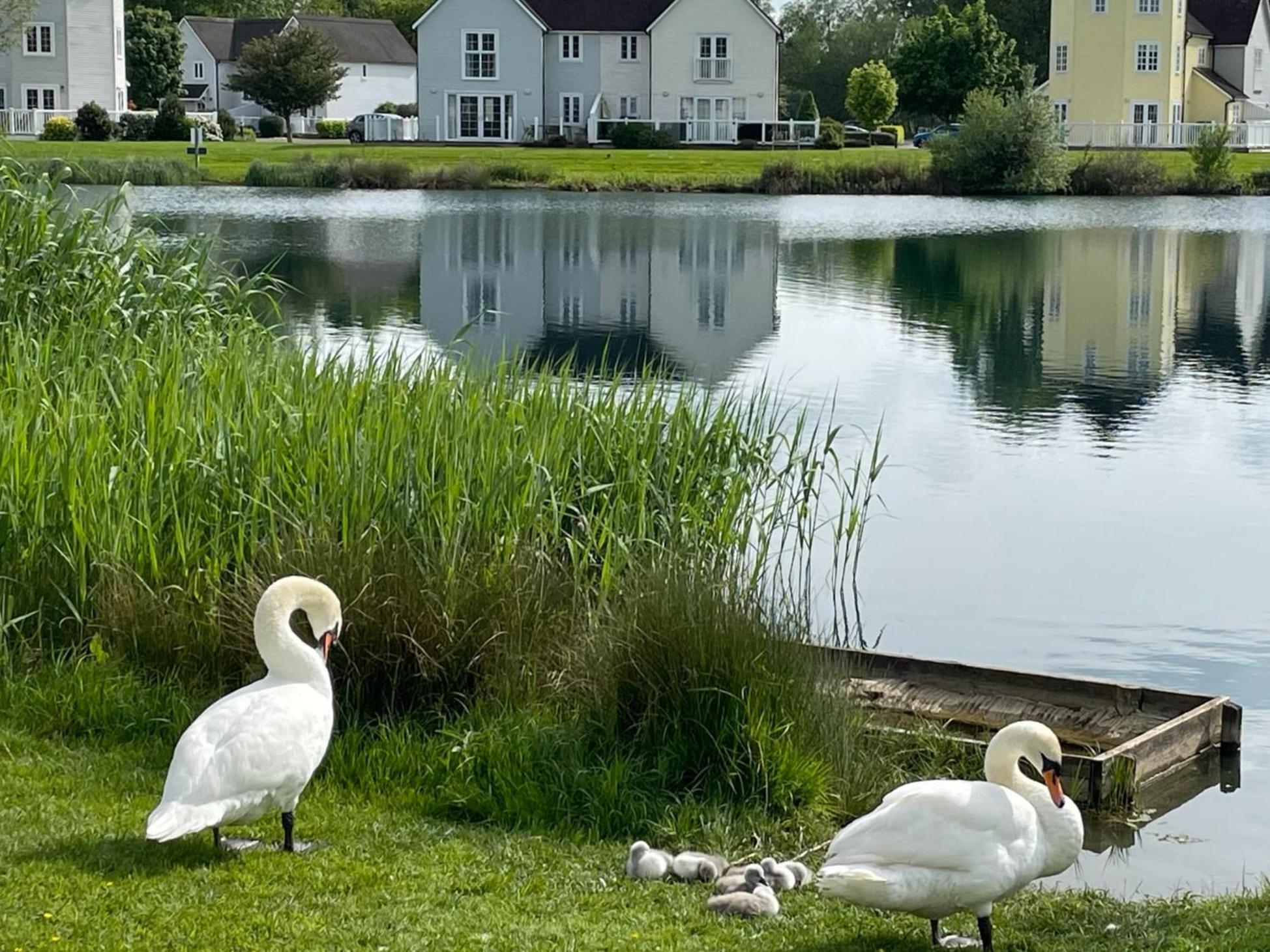 Luxury Kingfisher Lodge, Isis Lake, Within The Cotswold Waterpark Cirencester Exterior foto